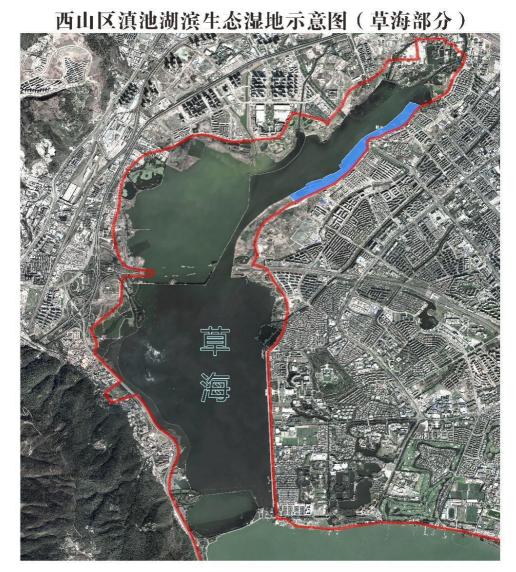 曝光台践踏草坪,不文明曝光台踩踏草坪