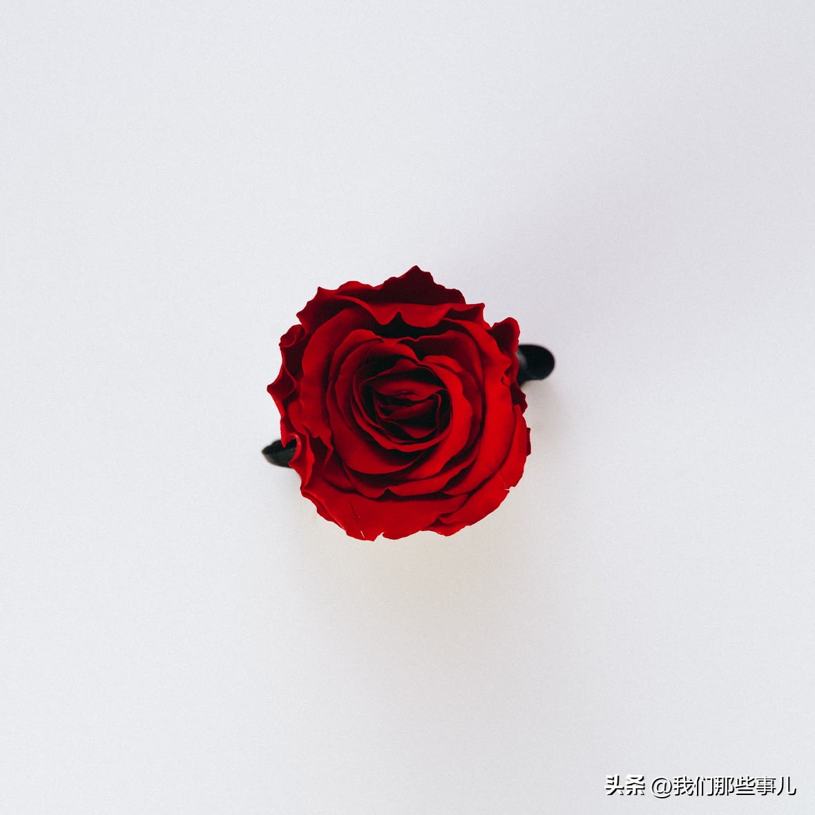 异性之间的喜欢是什么意思,异性之间喜欢和爱的区别