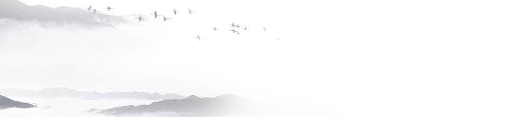 中国造纸术在阿拉伯的广泛应用，对当地以及全球有着怎样的影响？