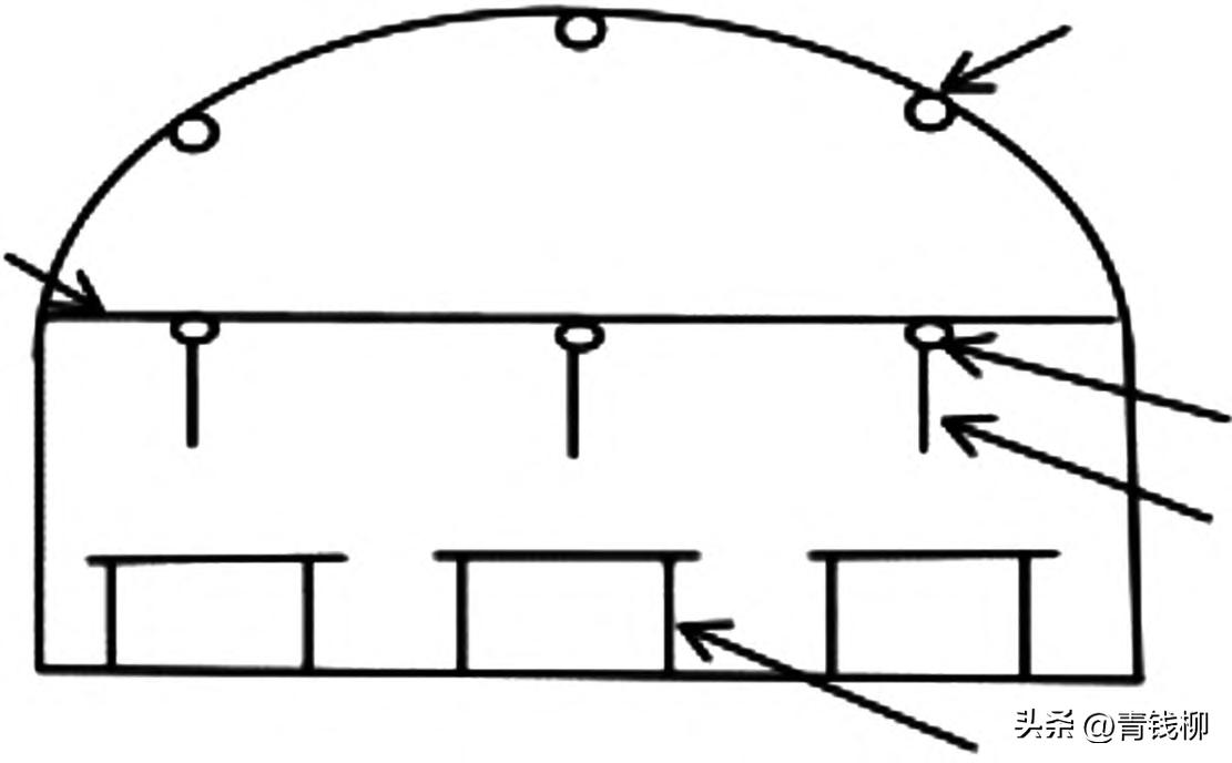 安徽霍山石斛怎么样种植,福建珍稀的霍山石斛种植方法
