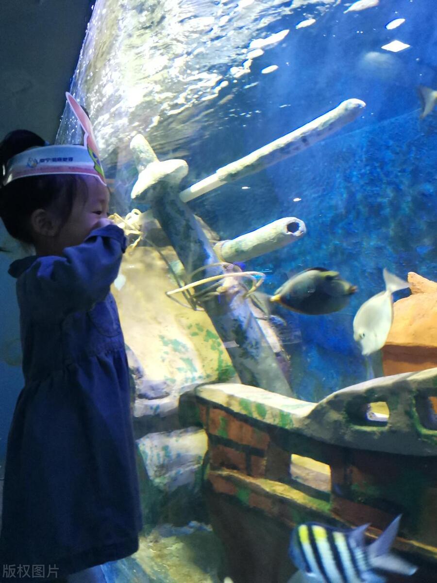 南宁十大好玩的地方是哪些,南宁园博园里有哪十大景点