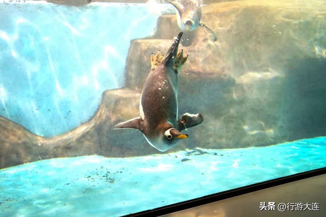 赛道上的美景,赛道美景