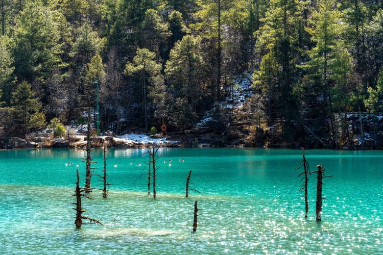 丽江大理六天五日自由行攻略,云南丽江大理六日游攻略