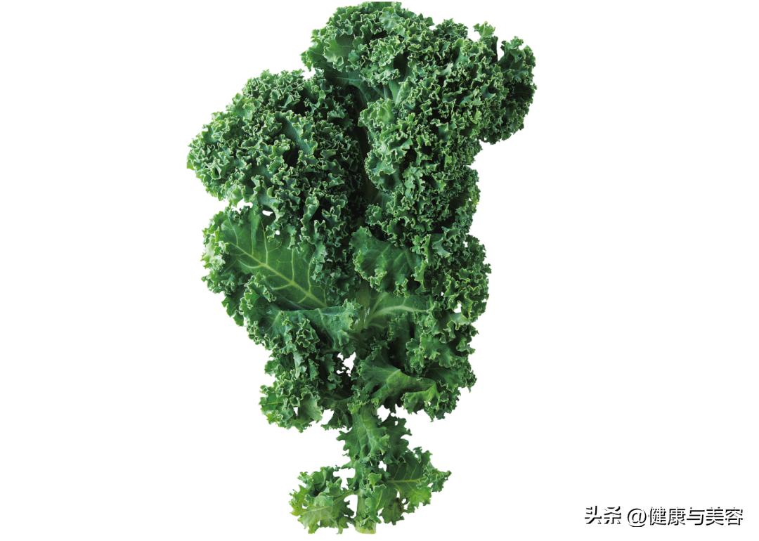 介绍一下羽衣甘蓝这种蔬菜,怎么介绍羽衣甘蓝营养价值