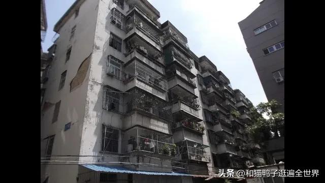 大学生打工实践报告,大学生打工纪实片