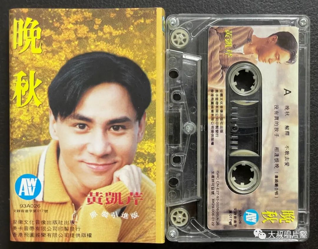 当年最火的50首经典歌,1993年华语乐坛神曲大爆发