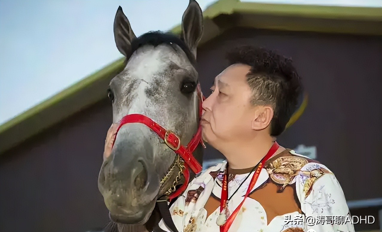 神奇！马的力量竟然可以治疗多动症（ADHD）——
