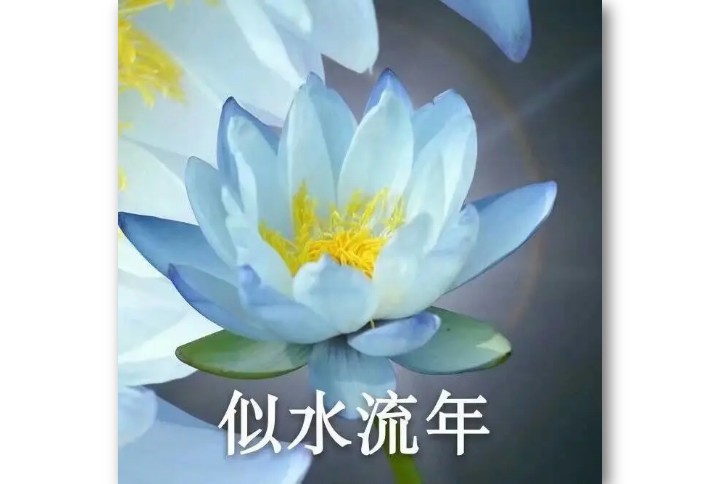 引起聊天欲望的头像,头像真的能引起别人的聊天欲望吗