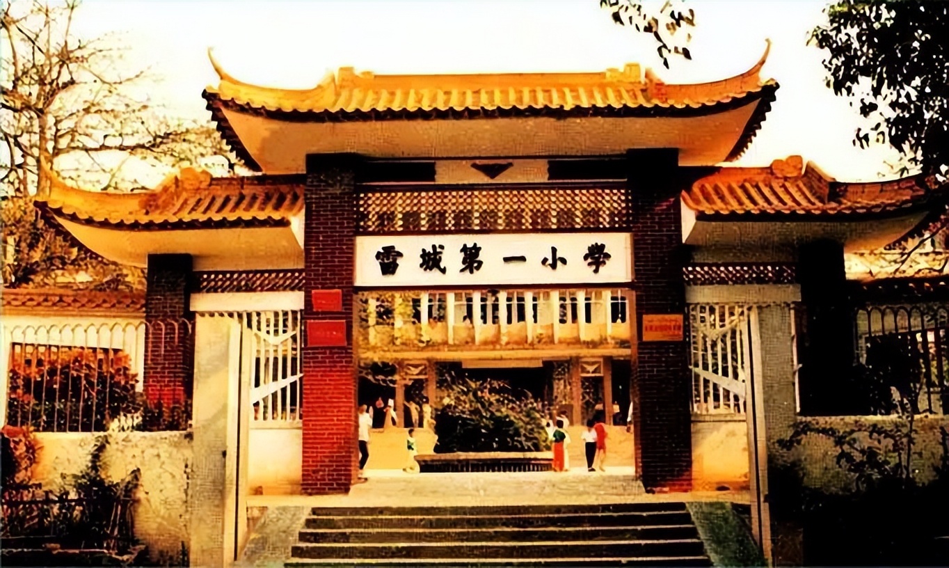 雷州市撤县设市吗,撤县设区周年