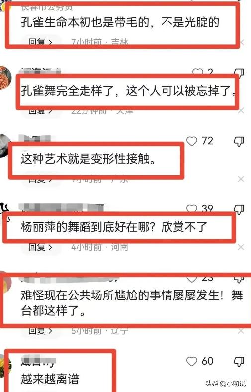 杨丽萍舞伴被指造型不雅,杨丽萍遭恶评完整版