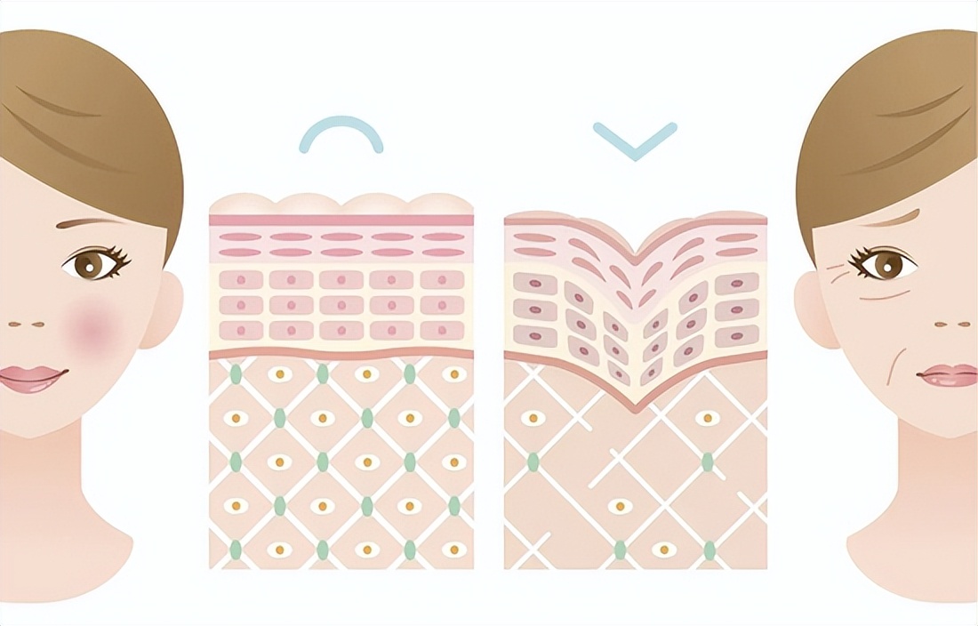 双十一护肤品囤货清单,双十一攻略大牌母婴必备囤货清单