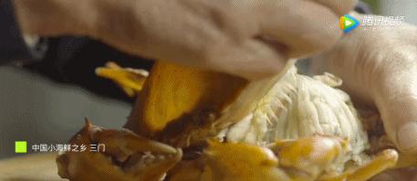 东海最后一处冷门小县城，藏了个海上仙子国，一口小海鲜封神