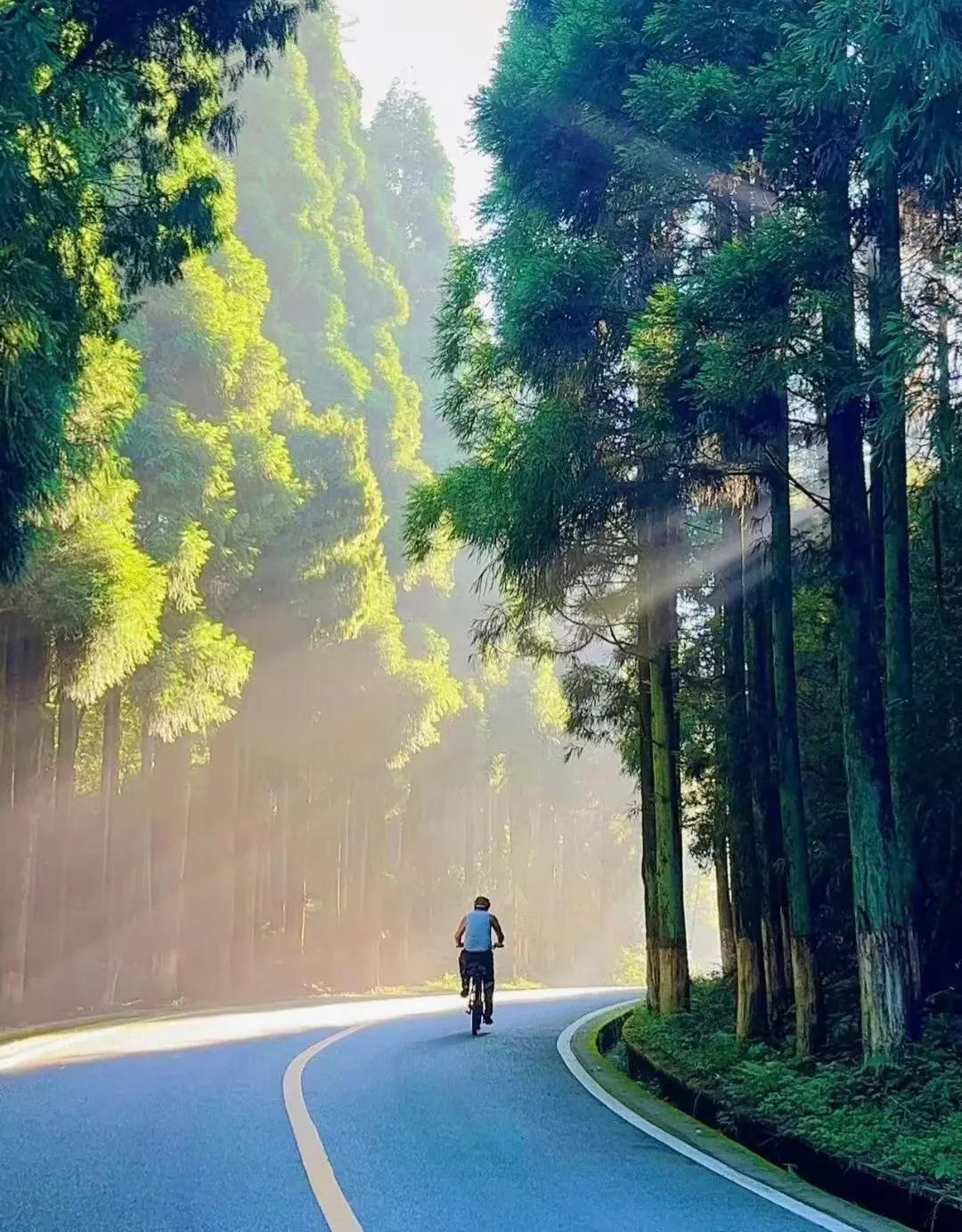 站在属于自己的高度看该看的景色,一定的高度才能看到不一样的风景
