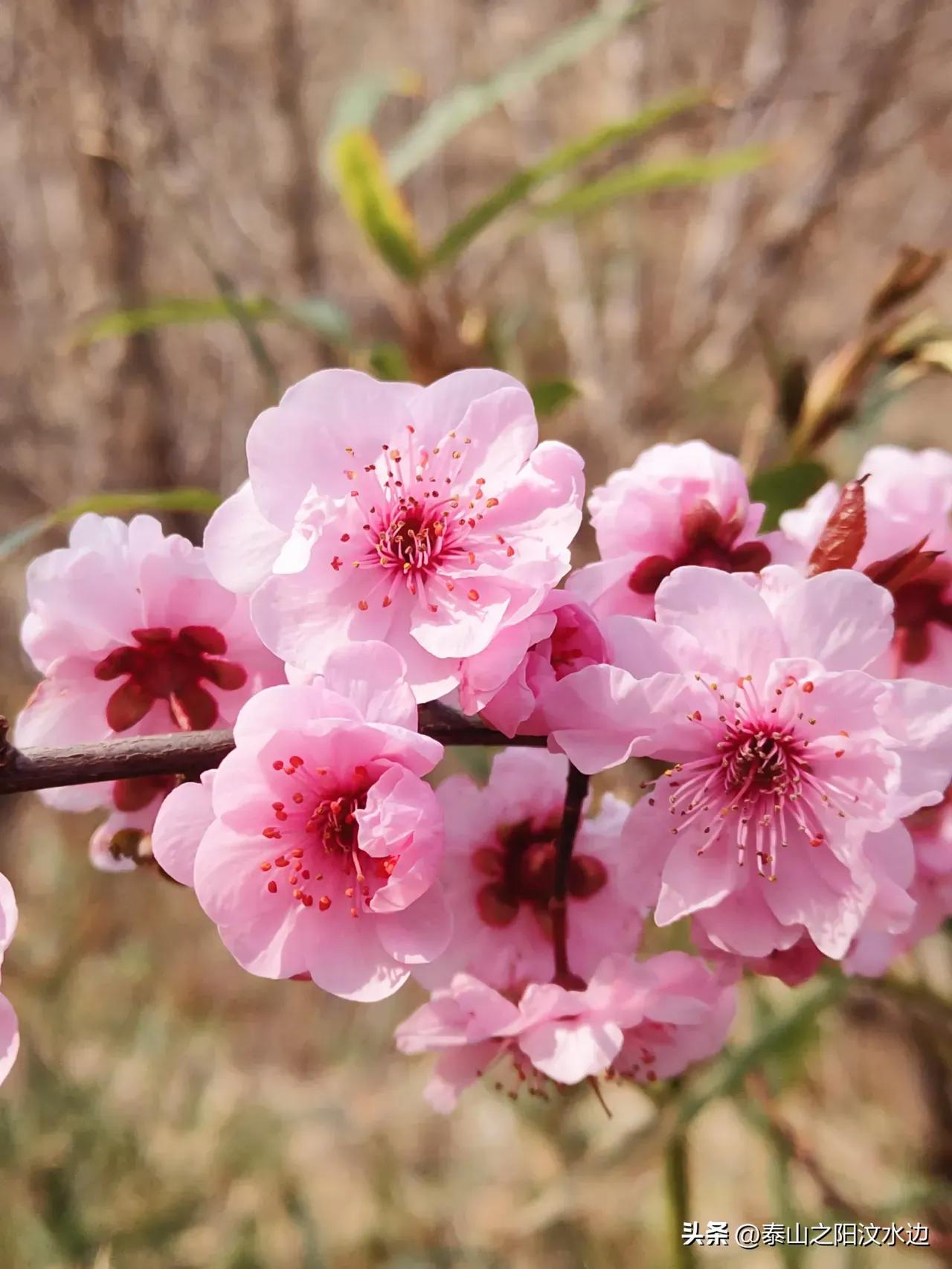 2023年民办教育新动向,义教均衡发展前景如何