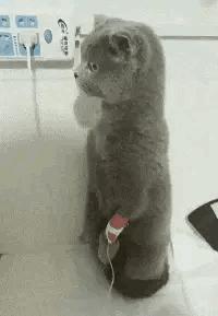 神回复：把大众车标扣下来清灰，里面藏了一个圆球，这是个啥？