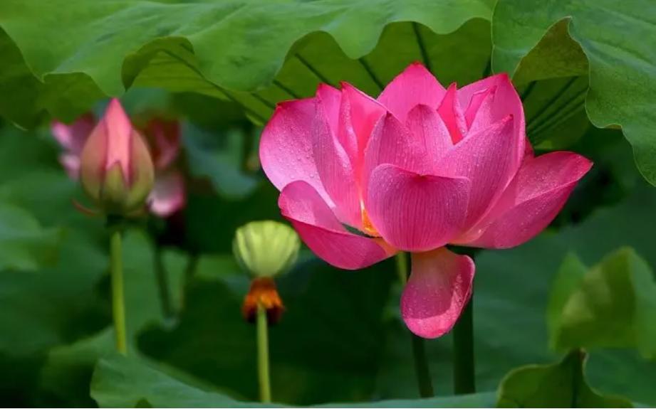 不回复你微信的人直接拉黑,这样回你微信的人就别联系了