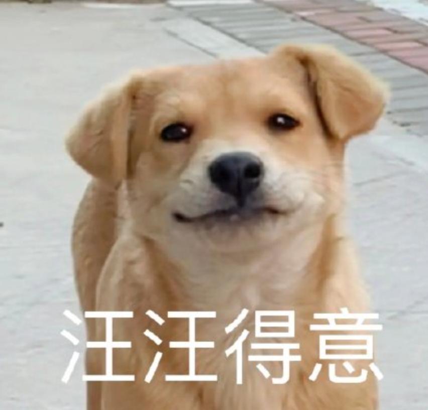 裸体金毛误闯地铁站被揪住耳朵：大哥！头发扎得有点紧了！