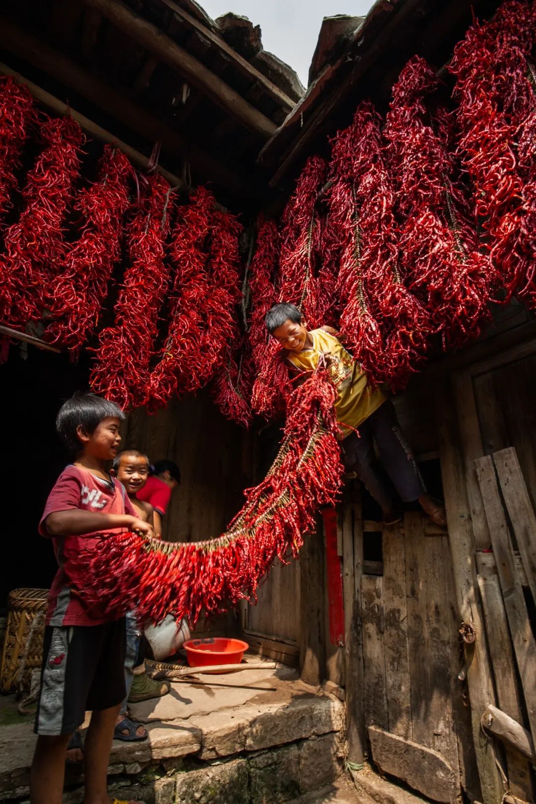 怎样才能了解中国真正的历史,怎么从头到尾了解中国的所有历史