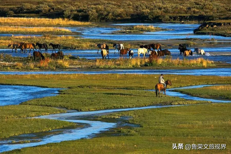 大美新疆的风景有哪些,大美新疆北疆美