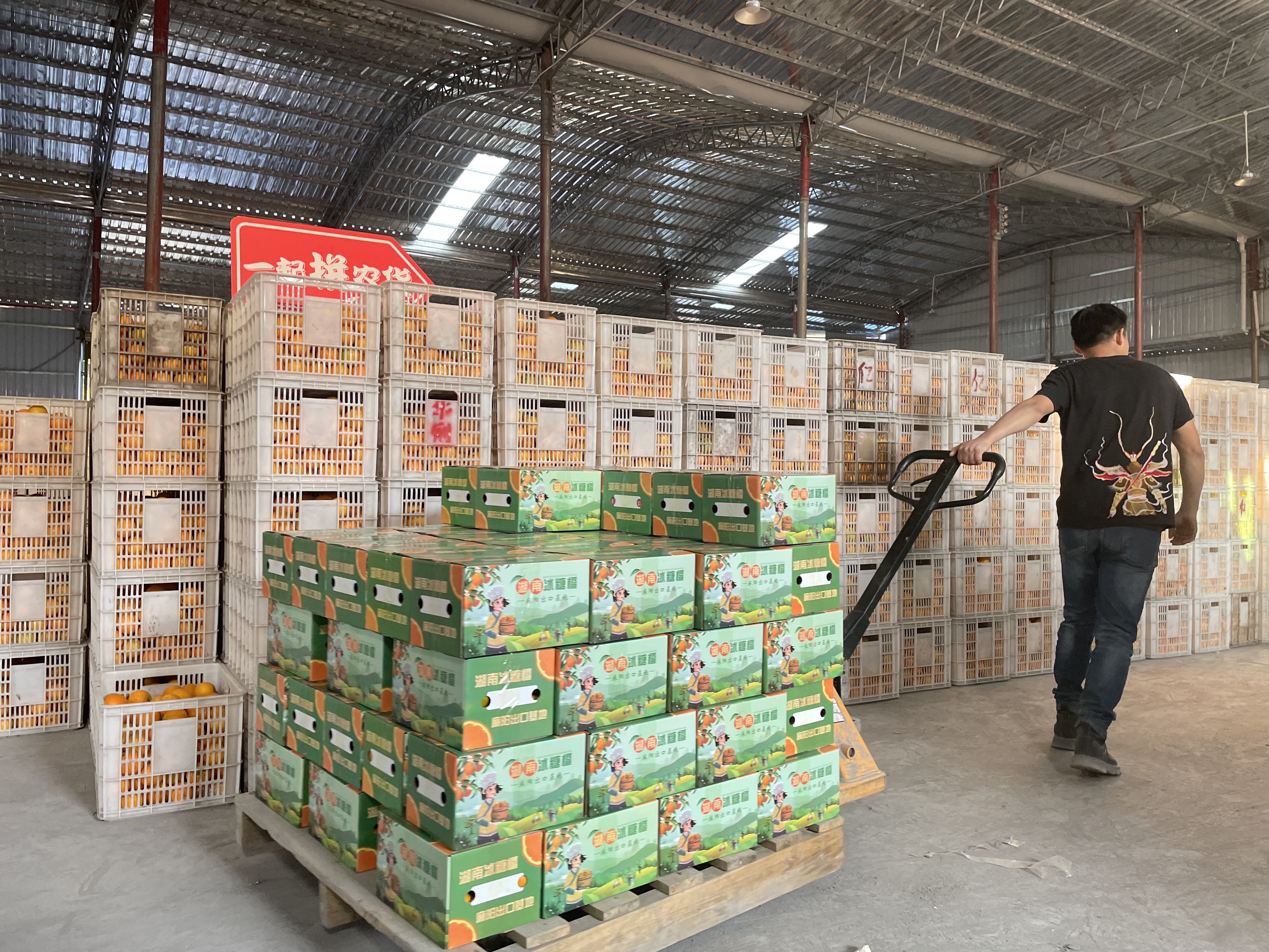 中国冰糖橙产业中心,湖南麻阳冰糖橙抖音旗舰店