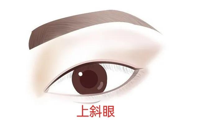 男人常见的眼型测试,常见好看的眼型