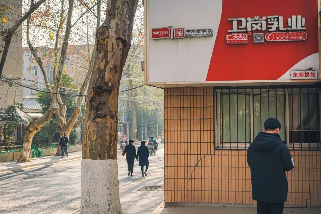 南京人的第一口奶---回到卫岗