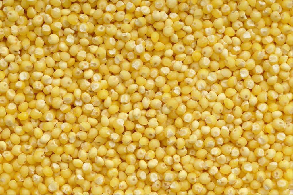 晋味美沁州黄小米怎么样,沁州黄小米10斤装多少钱