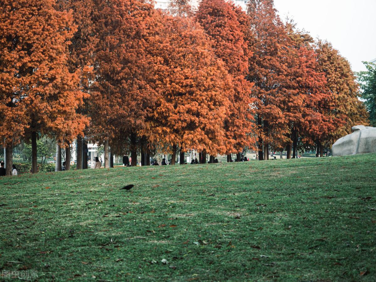 厦门旅游攻略必逛景点推荐,厦门攻略必逛景点一日游