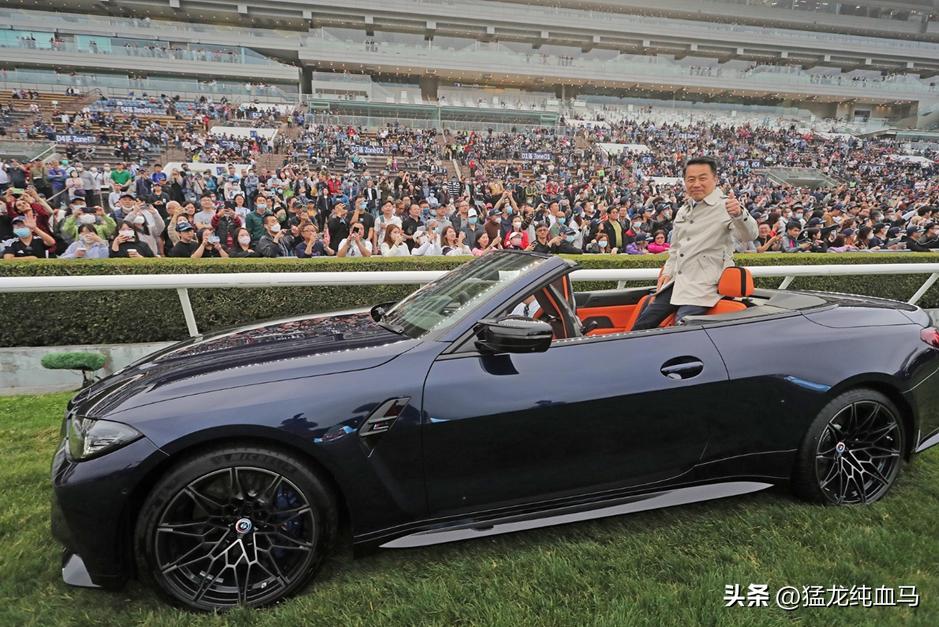 香港打吡现场新西兰賽驹的出色表现！