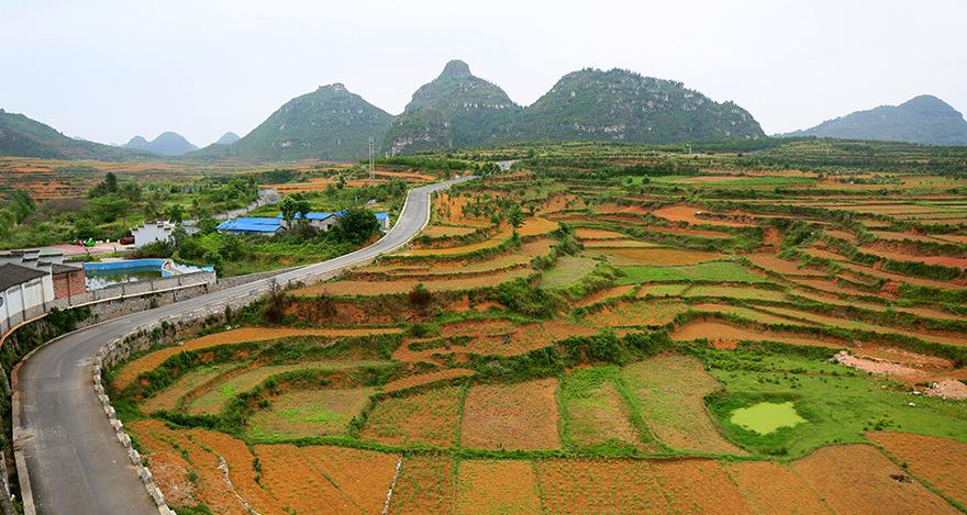 一夜间全村遭鬼剃头,山村鬼剃头真相
