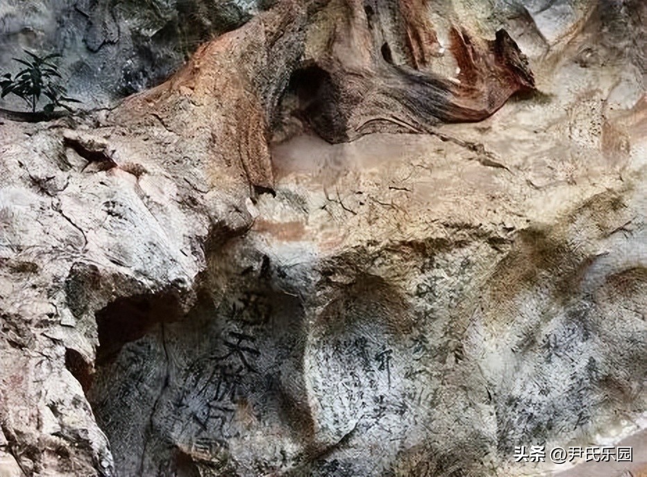 江阳区好玩的地方推荐,江阳景点热门排行榜