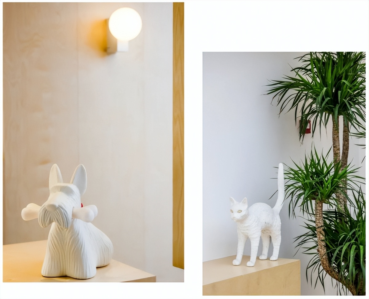 CCENEWSPACE|智能办公下存续的环保内核