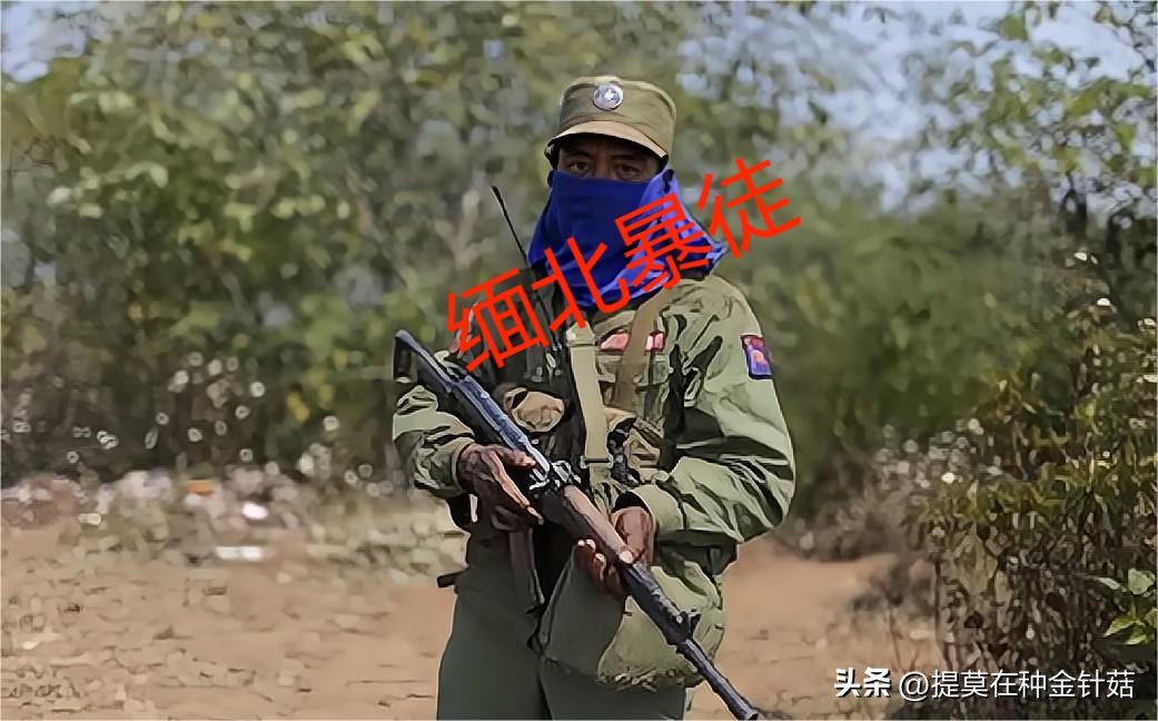 缅北罪恶之城,缅北金三角为什么成为罪恶之城