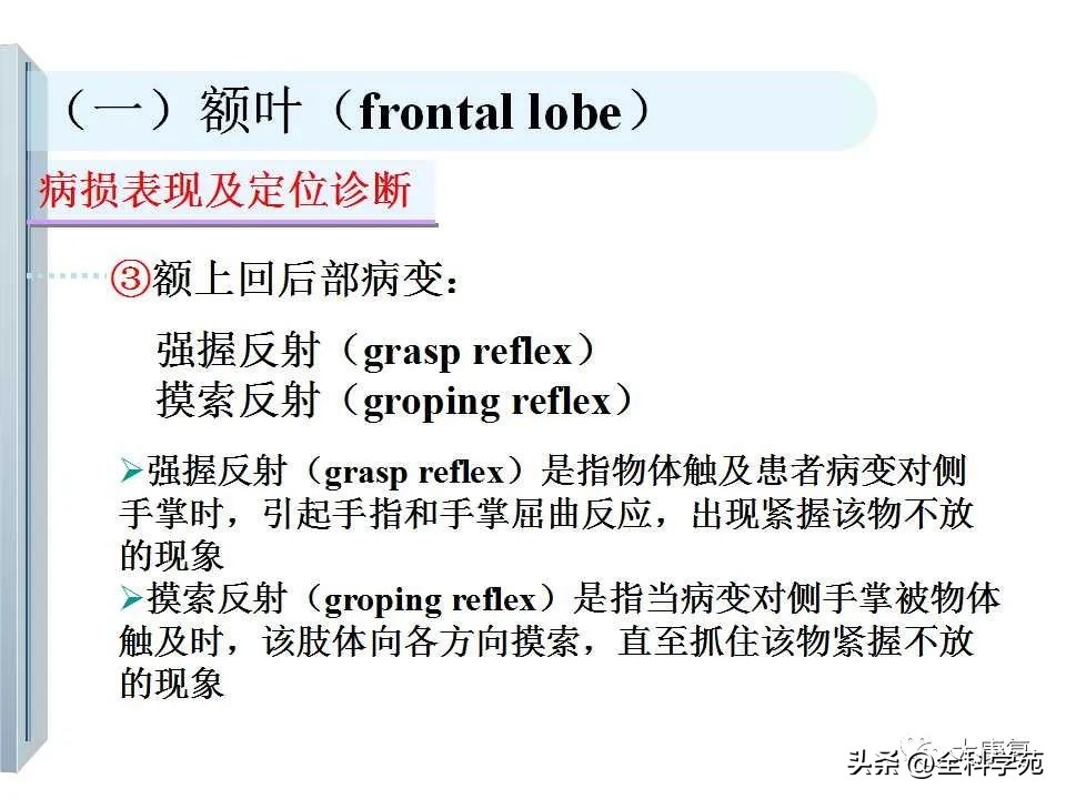 神经系统的影像与解剖定位,最全神经解剖图