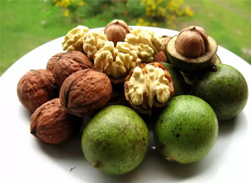 长得像核桃一样的坚果,长得像核桃一样的绿果子