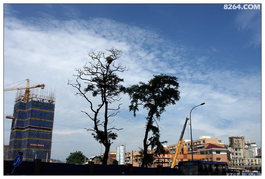 东北行游记长春街头,东北行游记长春市南广场