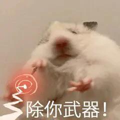 申论不好怎么办,申论能速成吗