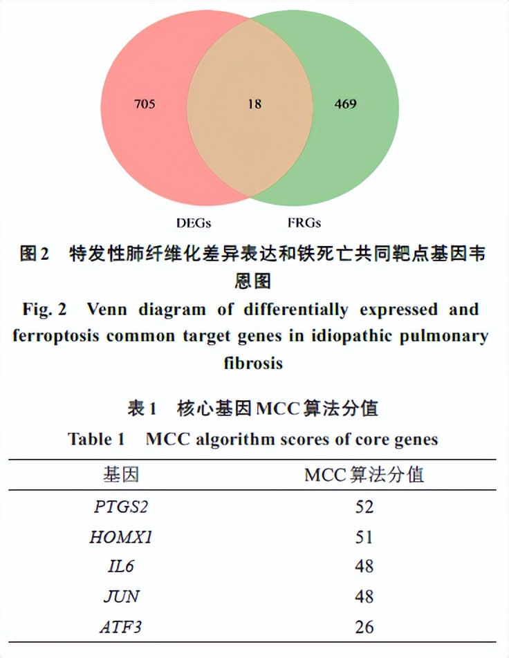 以铁死亡作为切入点，分析对特发性肺纤维化具有治疗作用的中药