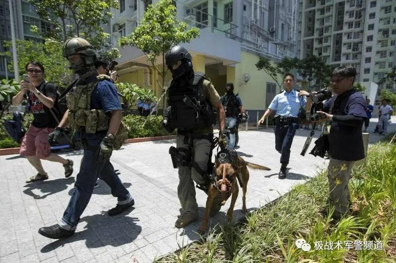 虎年说虎科普视频,虎年说虎运用了哪些说明方法