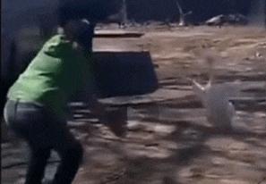 月老看事,月老吐血视频