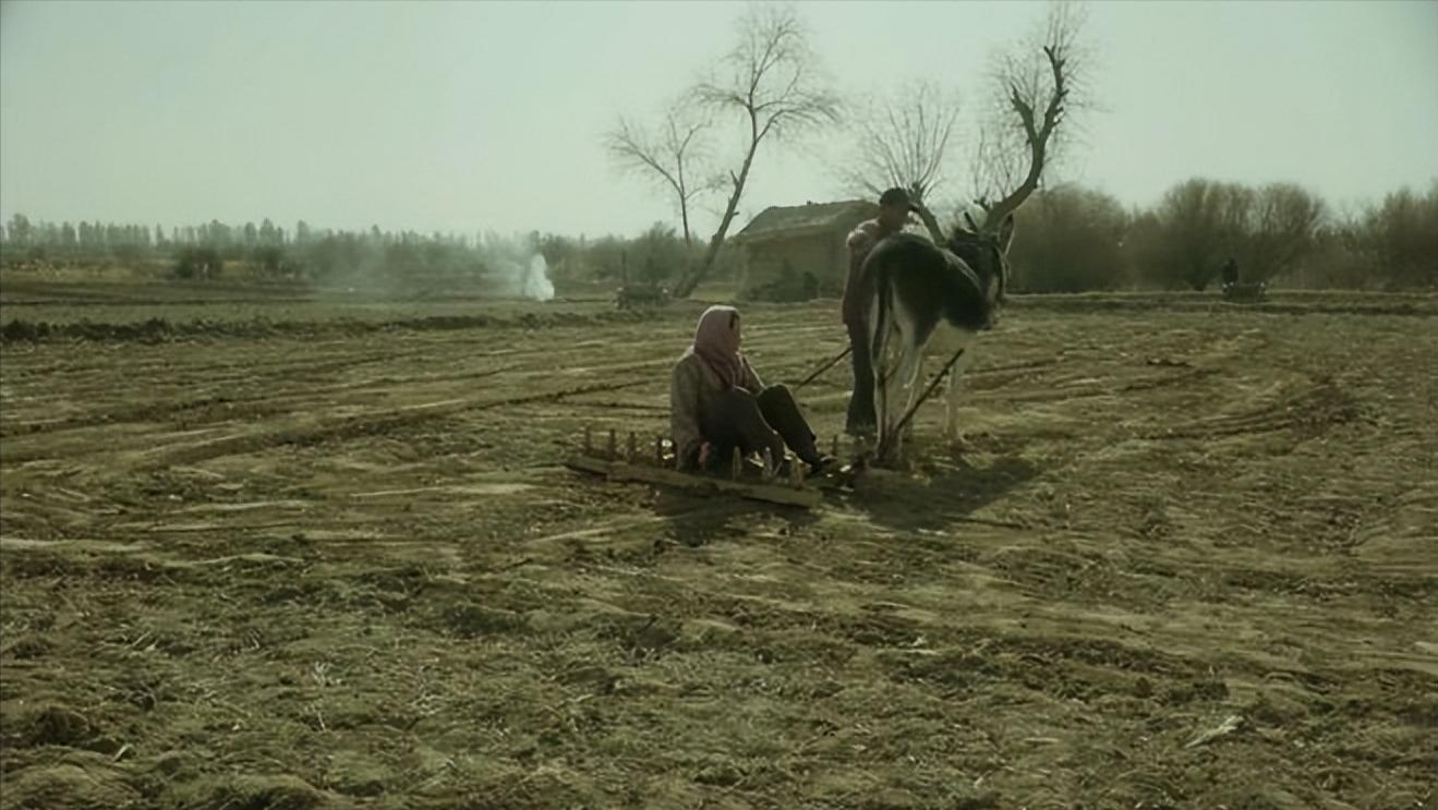 土地《失语者》边缘人物《隐入尘烟》