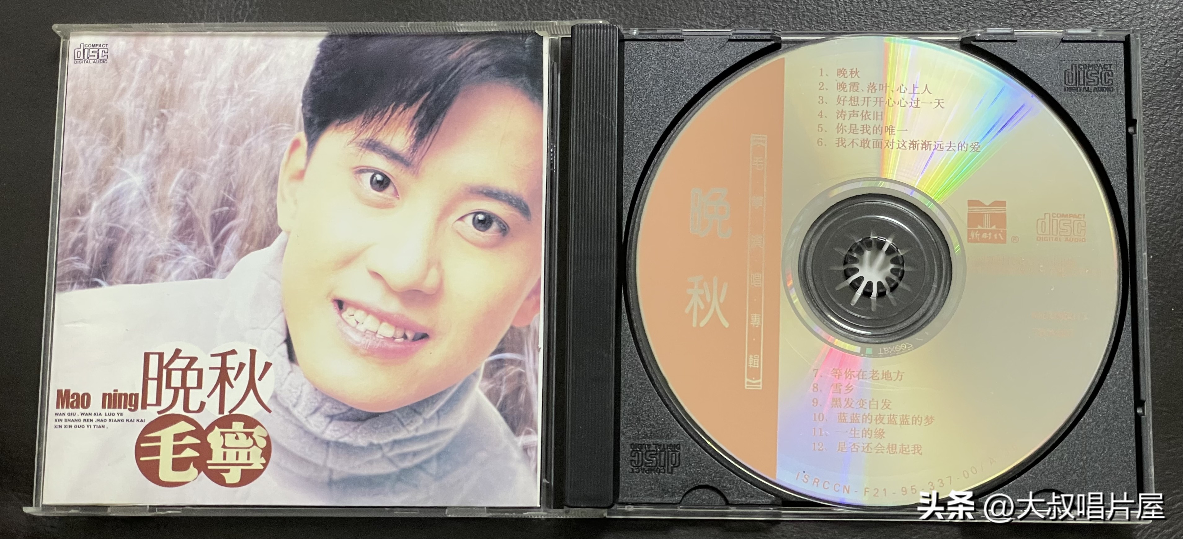 1993年最流行的经典歌曲,1993年最火的50首流行歌