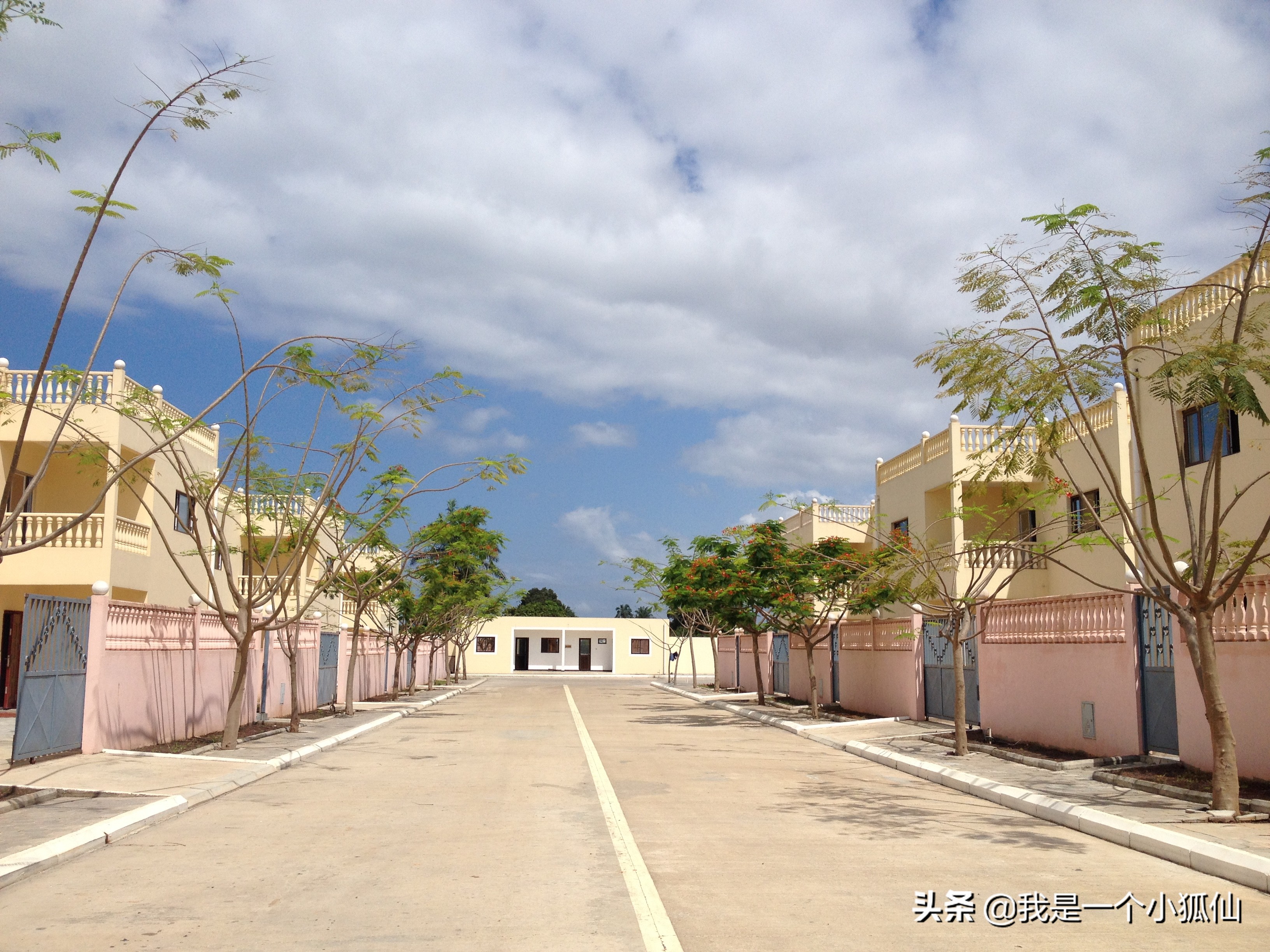 瀹夊摜鎷夊崠娣,瀹夊摜鎷夌粍缁囧崠娣