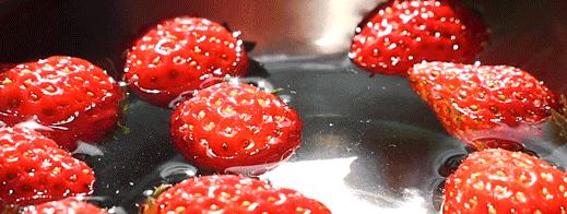 锦鲤茶是什么样子的,满杯锦鲤茶是什么茶