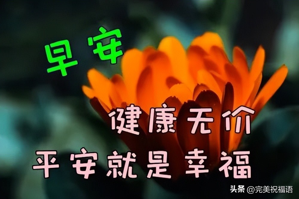 2022年早晨好表情大全,12月22号早上好表情图片大全