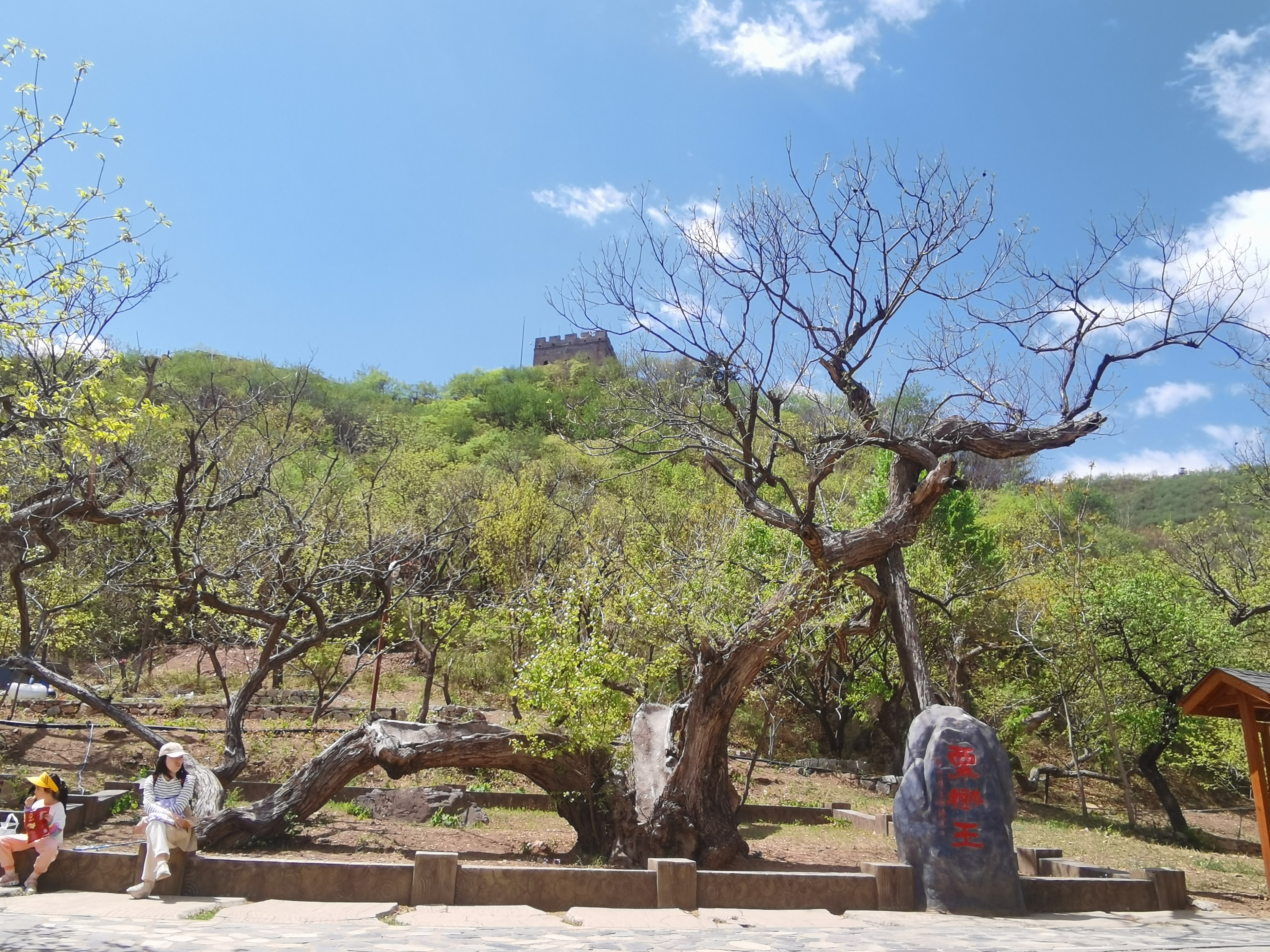 黄花城水长城旅游攻略,行走万里长城之旅