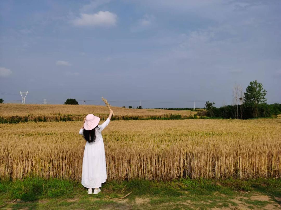难忘儿时打麦场图片,难忘小时候的草原