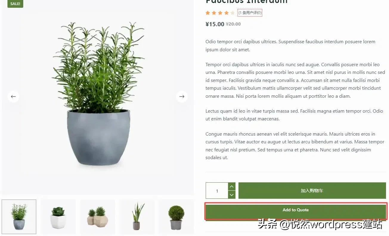 wordpress建站教程模板,wordpress外贸建站服务器怎么选