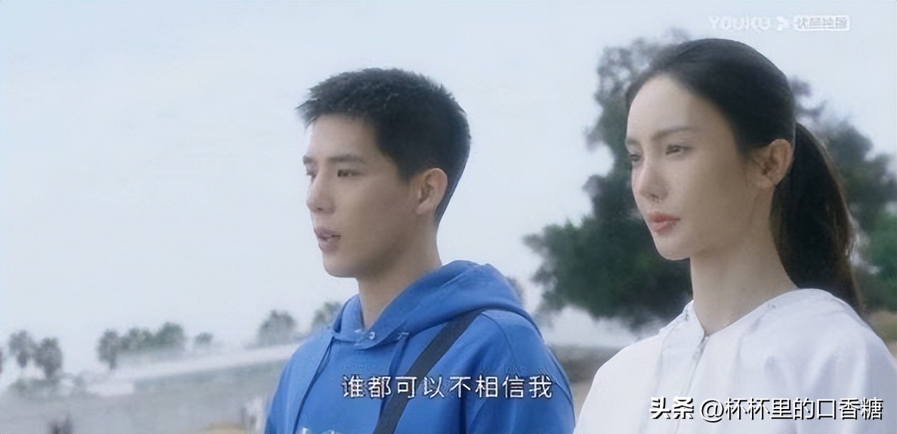 炽道王安宇和金晨引体向上,炽道王安宇和金晨在一起