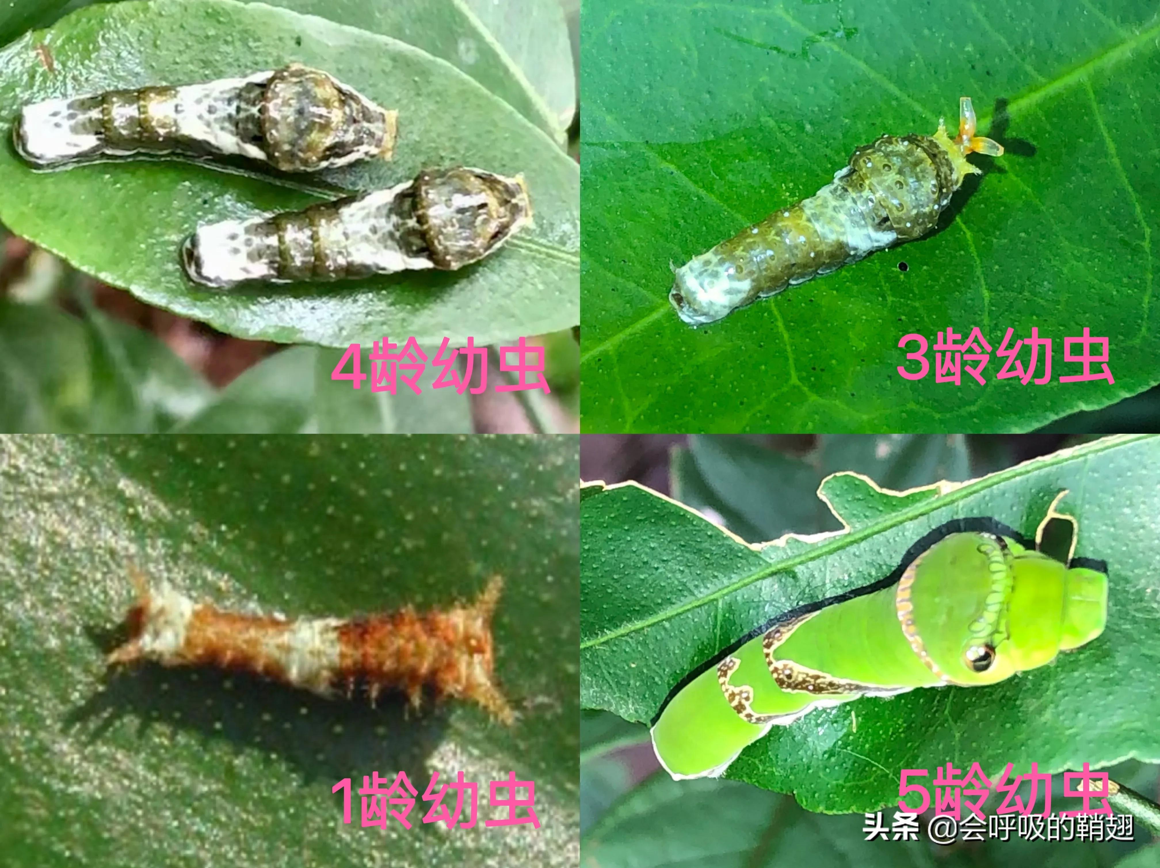 5个月的等待,经过5个多月的漫长等待